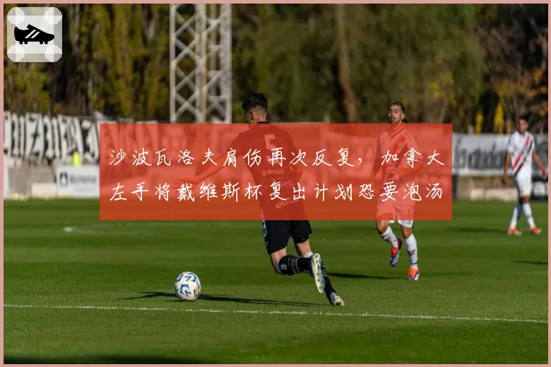 沙波瓦洛夫肩伤再次反复，加拿大左手将戴维斯杯复出计划恐要泡汤？